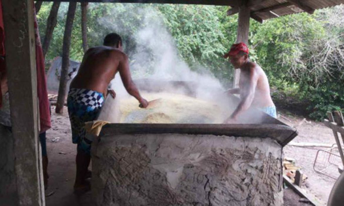 Os dados nos territórios quilombolas serão coletados a partir da pergunta: sua cor ou raça é branca, preta, amarela, parda, indígena?